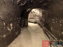 Pronájem vinného sklepa, Nový Šaldorf-Sedlešovice - Nový Šaldorf, 310 m2