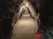 Pronájem vinného sklepa, Nový Šaldorf-Sedlešovice - Nový Šaldorf, 310 m2