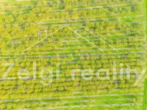 Prodej sadu/vinice, Rakvice, 210277 m2