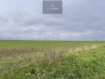 Prodej pole, Vřesina, 17151 m2