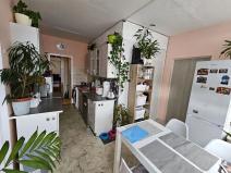 Prodej bytu 3+1, Most, U Věžových domů, 62 m2