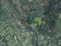 Prodej lesa, Staré Hamry, 59962 m2