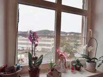 Pronájem bytu 3+1, Ústí nad Labem, Drážďanská, 74 m2