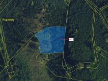 Dražba lesa, Lhota Rapotina, 1938 m2