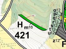 Dražba lesa, Náměšť nad Oslavou, 3001 m2