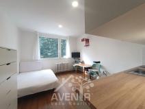 Pronájem bytu 1+kk, Jablonec nad Nisou, Na Výšině, 20 m2
