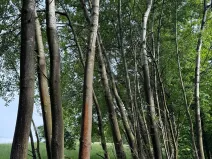 Prodej pozemku, Český Dub, 19364 m2