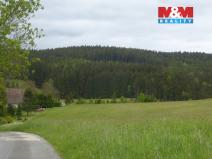 Prodej lesa, Vysoká Srbská, 26095 m2