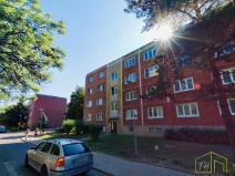 Prodej bytu 2+1, Bílina - Teplické Předměstí, M. Švabinského, 54 m2