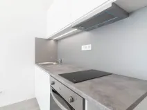 Pronájem bytu 1+kk, Olomouc, Wolkerova, 31 m2