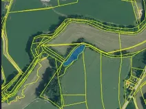 Prodej lesa, Okrouhlá Radouň, 2395 m2