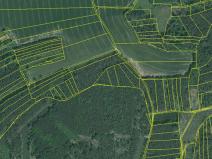 Dražba lesa, Blížejov, 16569 m2