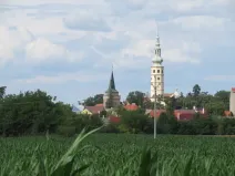 Dražba pole, Tovačov, 903 m2