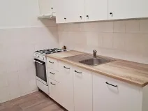 Pronájem bytu 3+1, Svitavy, Bohuslava Martinů, 67 m2