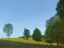 Prodej pozemku pro bydlení, Malá Morava - Křivá Voda, 1669 m2