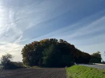 Prodej lesa, Libišany, 3737 m2