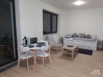 Pronájem bytu 1+kk, Jihlava, Vrchlického, 33 m2