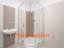 Pronájem bytu 1+kk, Havířov - Prostřední Suchá, Hornická, 38 m2