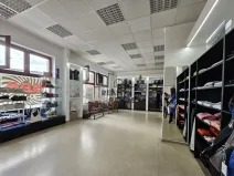 Pronájem obchodního prostoru, Hodonín, Štefánikova, 90 m2