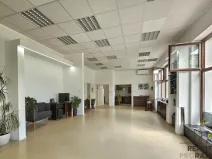 Pronájem obchodního prostoru, Hodonín, Štefánikova, 90 m2