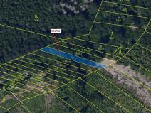 Dražba lesa, Havlíčkův Brod, 281 m2