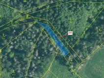 Dražba lesa, Kuřimany, 398 m2