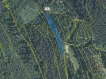 Dražba lesa, Lačnov, 2442 m2