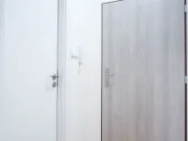 Prodej bytu 1+kk, Ostrava - Přívoz, Palackého, 22 m2