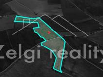 Prodej sadu/vinice, Kralupy nad Vltavou, 246558 m2