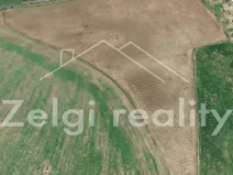 Prodej sadu/vinice, Kralupy nad Vltavou, 246558 m2