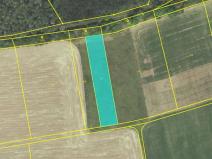 Dražba pole, Suchomasty, 1263 m2