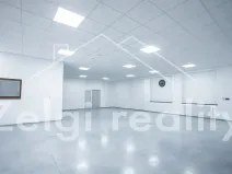 Pronájem skladu, Bojkovice, 234 m2