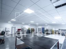 Pronájem obchodního prostoru, Bojkovice, 302 m2