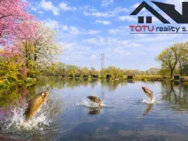 Prodej rybníku, Černožice, 44772 m2