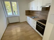 Pronájem bytu 1+1, Opava, Polní, 40 m2