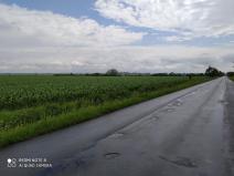 Prodej komerčního pozemku, Dolní Roveň, 13103 m2