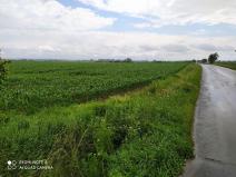 Prodej komerčního pozemku, Dolní Roveň, 13103 m2