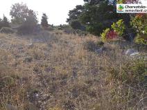 Prodej pozemku pro bydlení, Novalja, Chorvatsko, 532 m2