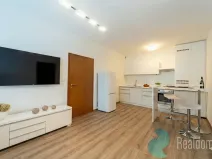 Prodej bytu 2+kk, Praha - Žižkov, U kněžské louky, 43 m2