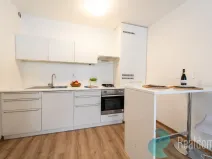 Prodej bytu 2+kk, Praha - Žižkov, U kněžské louky, 43 m2