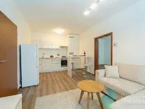 Prodej bytu 2+kk, Praha - Žižkov, U kněžské louky, 43 m2