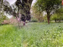 Prodej rodinného domu, Přerov, Čekyňská, 65 m2