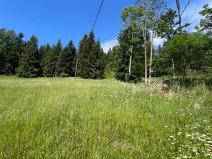 Prodej louky, Jablonec nad Jizerou, 12774 m2