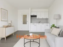 Pronájem bytu 1+kk, Frýdek-Místek - Frýdek, Nad Mostárnou, 21 m2