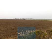 Prodej pole, Dyje, 8295 m2