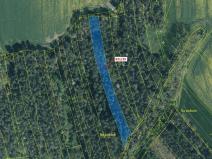 Dražba lesa, Koloveč, 3368 m2