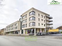 Pronájem bytu 3+kk, Plzeň, Na Roudné, 100 m2