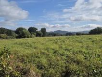 Prodej pozemku pro bydlení, Jestřebí, 1898 m2