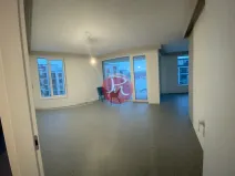 Pronájem bytu 2+kk, Ostrava, F. X. Riepla, 53 m2