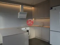 Pronájem bytu 1+kk, Ostrava, F. X. Riepla, 44 m2